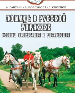 A horse in a Russian team: Gulovy