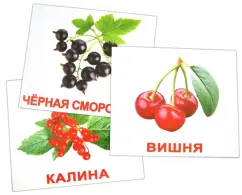 A set of cards "Berries" (16.5x19.5 cm): Nosova