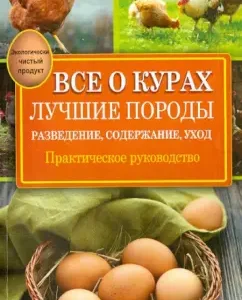 All about chickens. The best breeds. Breeding