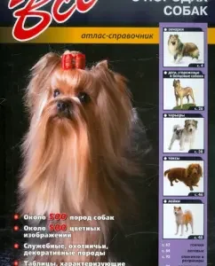 All about dog breeds