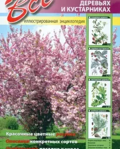 All about garden trees and shrubs