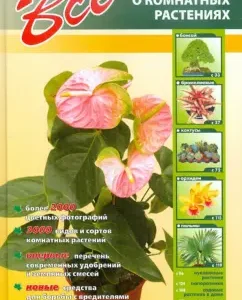 All about indoor plants: Neer Jan van der
