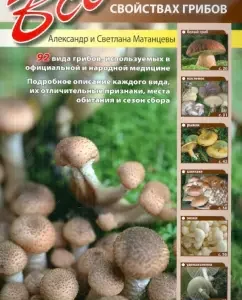All about the healing properties of mushrooms: Matan
