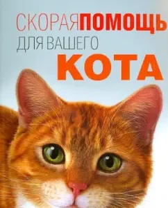 Ambulance for your cat: L. Moiseenko