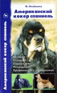 American cocker spaniel. Story. Standards. Content. Breeding. Exhibitions: Marina Isaikina
