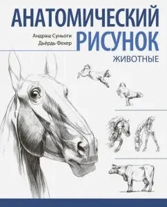 Anatomical pattern. Animals: Sunogi