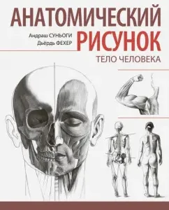 Anatomical pattern. Human Body: Sunogi