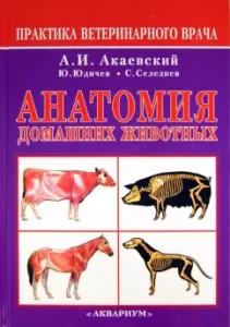 Anatomy of pets: Akayevsky