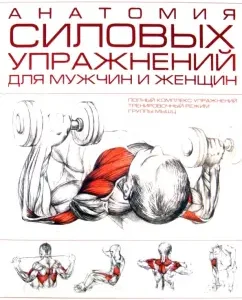 Anatomy of strength exercises for men and women
