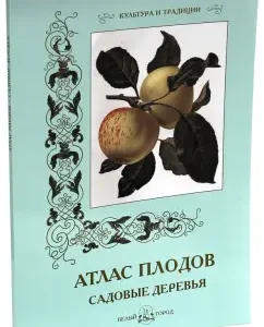 Atlas of fruits. Garden trees: S. Ivanov