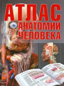 Atlas of human anatomy