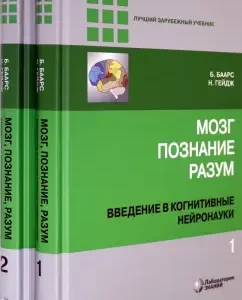 Brain