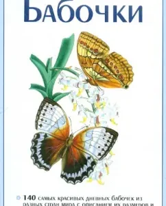 Butterflies