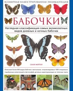 Butterflies. World Illustrated Encyclopedia: Sally Morgan