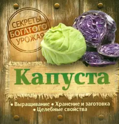 Cabbage