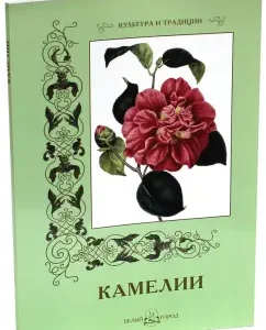 Camellia: S. Ivanov