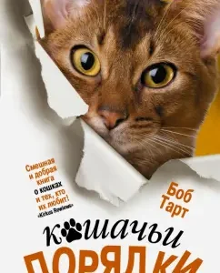 Cat orders: bob tart
