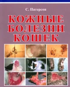 Cat skin diseases: Sue Paterson