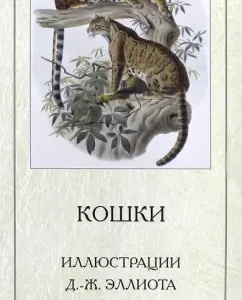 Cats. Illustrations D.-J. Elliot: T. Zhukova