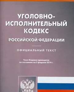 Criminal Executive Code of the Russian Federation as of February 5