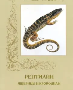 Culture and traditions. Reptiles. Lizards and crocodiles: S. Ivanov