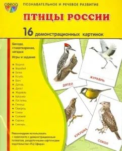Demonstration pictures "Birds of Russia" (16 pictures): T. Tsvetkova