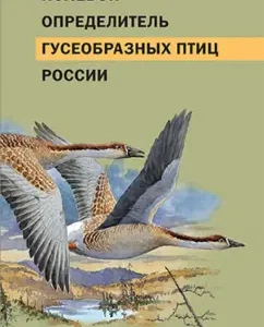 Field determinant of the goose -shaped birds of Russia