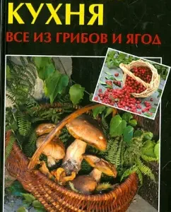 Forest cuisine. All of mushrooms and berries
