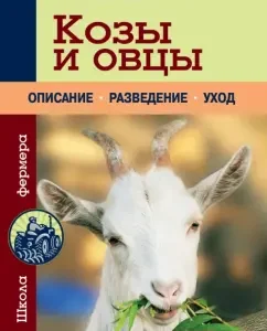 Goats and sheep: Elena Plotnikova