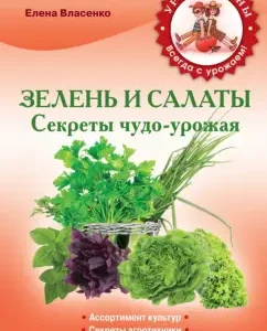 Greens and salads. Secrets Wonder-Work: Elena Vlasenko