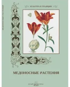 Honeyballon plants: E. Duvanova