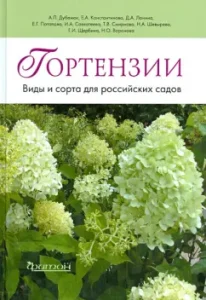 Hydrangea. Types and varieties for Russian gardens: Dubenyuk