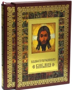 Illustrated Bible (box)