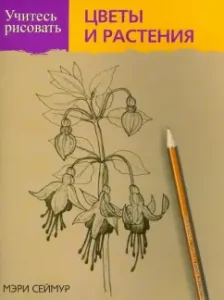 Learn to draw flowers and plants: Mary Seymour