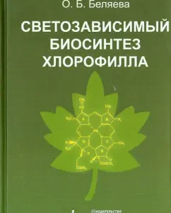 Light -dependent biosynthesis of chlorophyll: Olga Belyaeva
