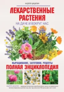 Medicinal plants in the country and around us. Full Encyclopedia: Andrey Tsitsilin