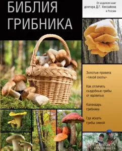 Mushroomberry Bible: Matansev