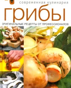 Mushrooms. Original recipes from professionals