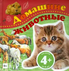 Pets: Irina Travina