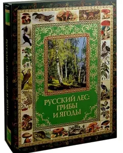 Russian forest. Mushrooms and berries (in case)