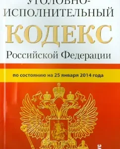 The Criminal Executive Code of the Russian Federation as of January 25