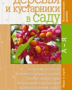 Trees and shrubs in the garden. Mini-expert: Dovganyuk