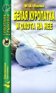 White partridge and hunting for her: F. Lalin