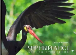White stork. The messenger of the sky. Black stork. Forest Hermit: Nikolai Spynok