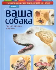 Your dog: George Galanin